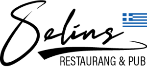 Selins Vansbro AB logotyp