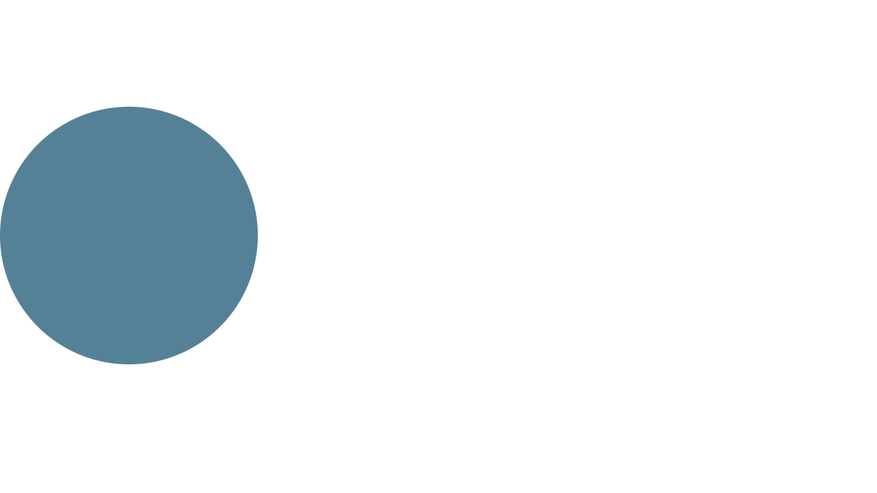 Rodin & Partner AB logotyp