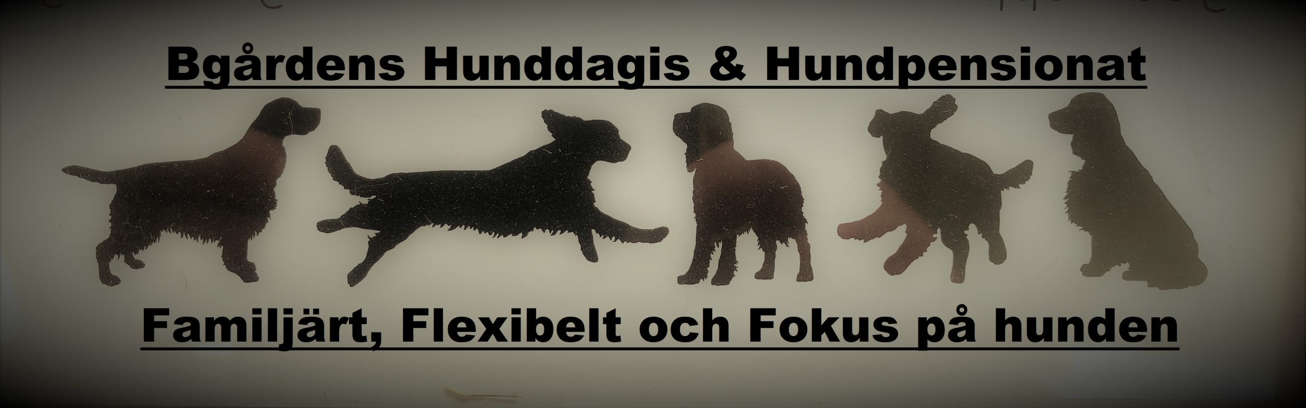 Bgårdens Hunddagis & Pensionat AB logotyp
