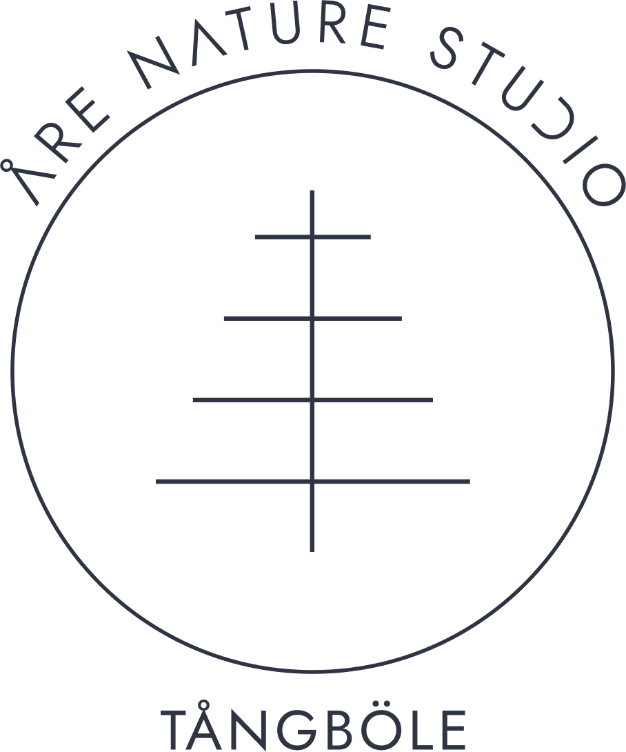 Åre Nature Studio AB logotyp