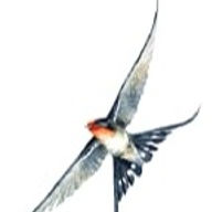 Swallows & Spirits Destilleri AB logotyp