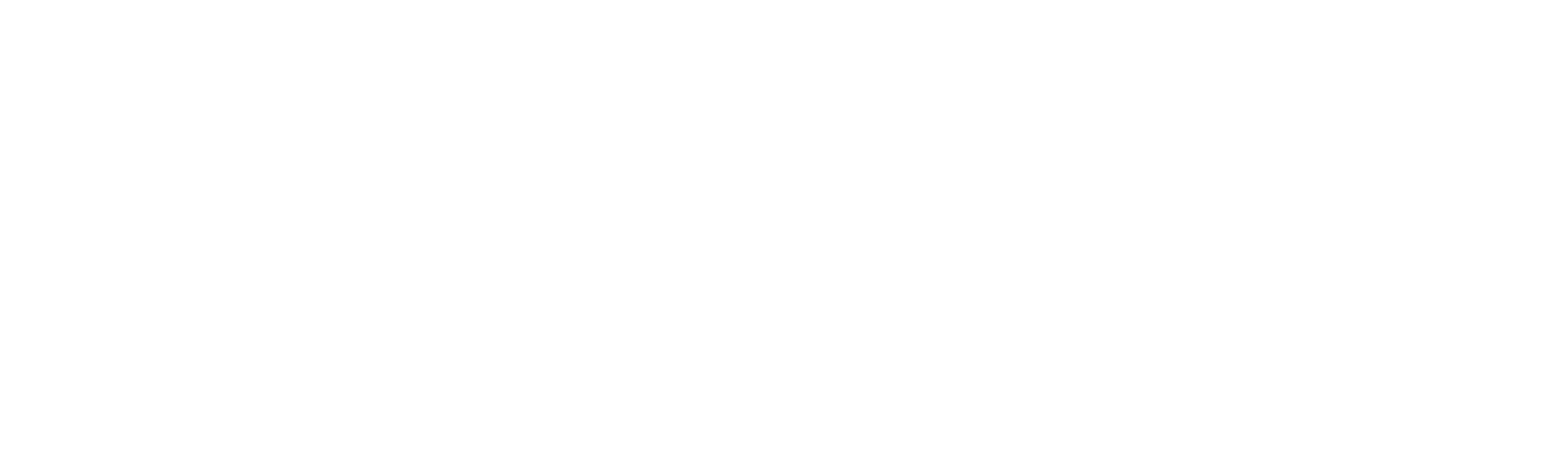 2255 Car Detail AB logotyp