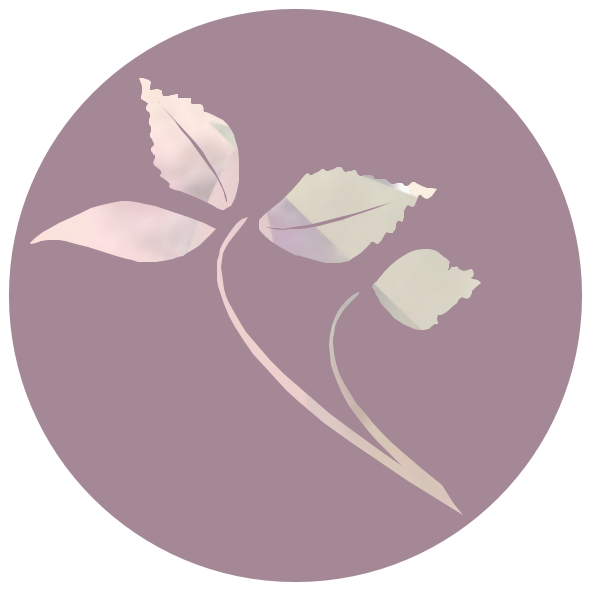 Studio Nemi AB logotyp