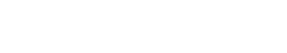 Animon Interactive AB logotyp