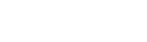 Direct Meat Service Sverige AB logotyp