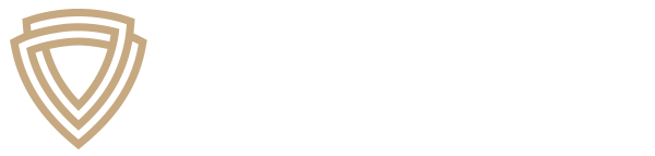 DT Transport & Fastighetsservice AB logotyp