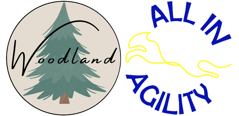 All in Agility Sweden AB logotyp