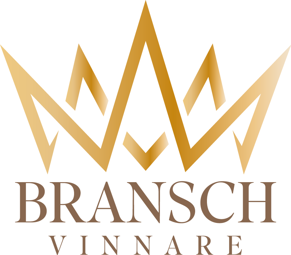 Branschvinnare i Sverige AB logotyp