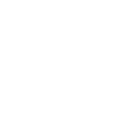 New Native AB logotyp