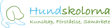 Devoted Dog Sweden AB logotyp