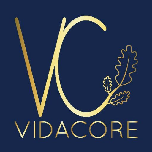 Vidacore AB logotyp