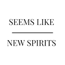 Seems like new spirits AB logotyp