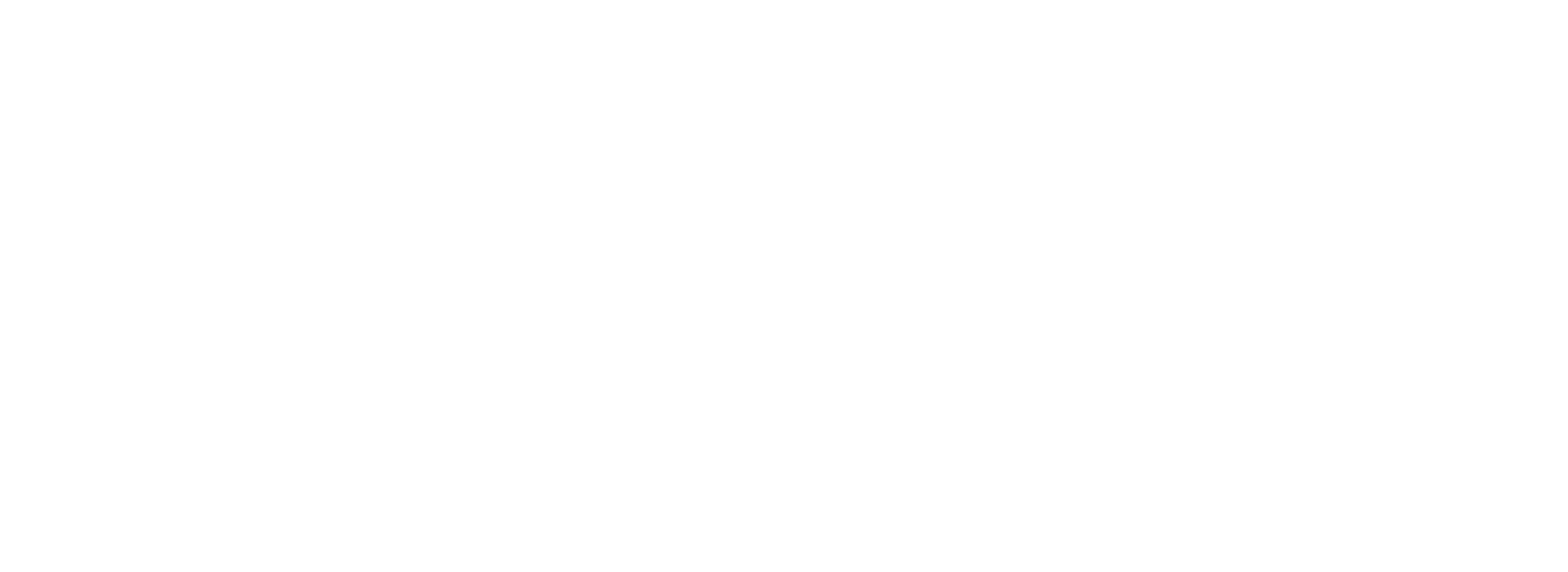 Next i Östersund AB logotyp