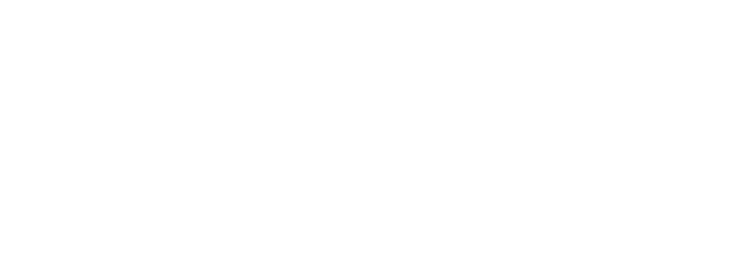 Bison Entreprenad AB logotyp