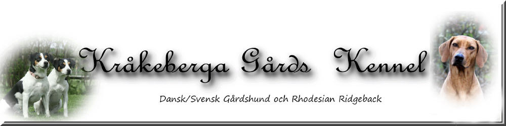 Kråkeberga Gårds Kennel AB logotyp