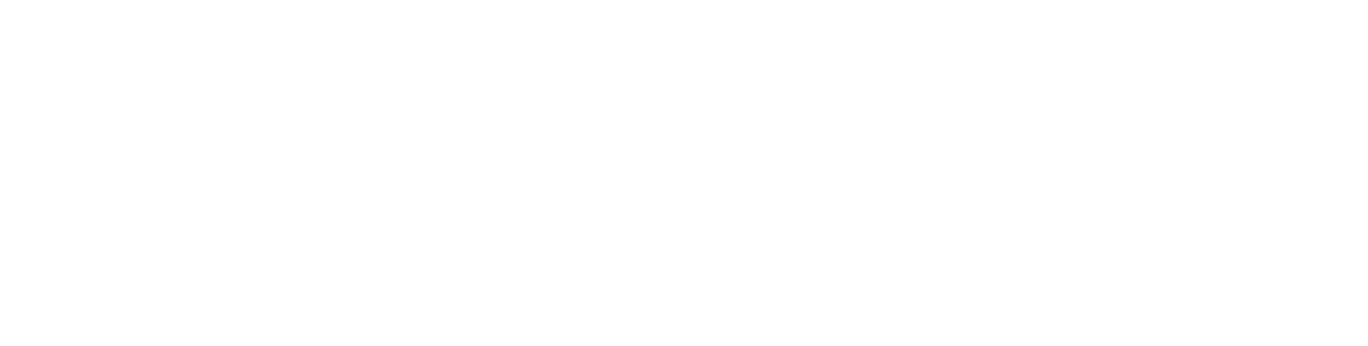 Two Stone IT AB logotyp