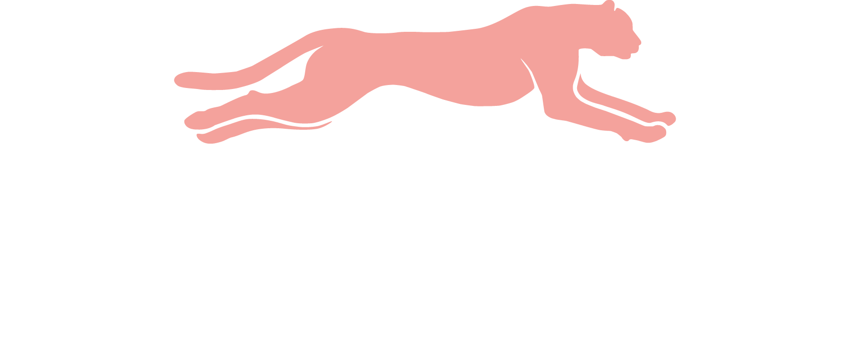 Panter Partner AB logotyp