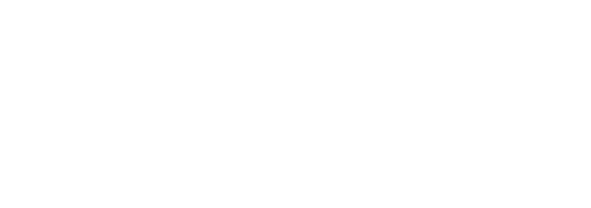 B&SS - Body & Soul Science AB logotyp