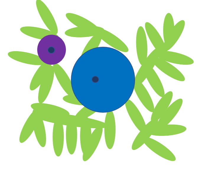 Crowberry Energy Performance AB logotyp