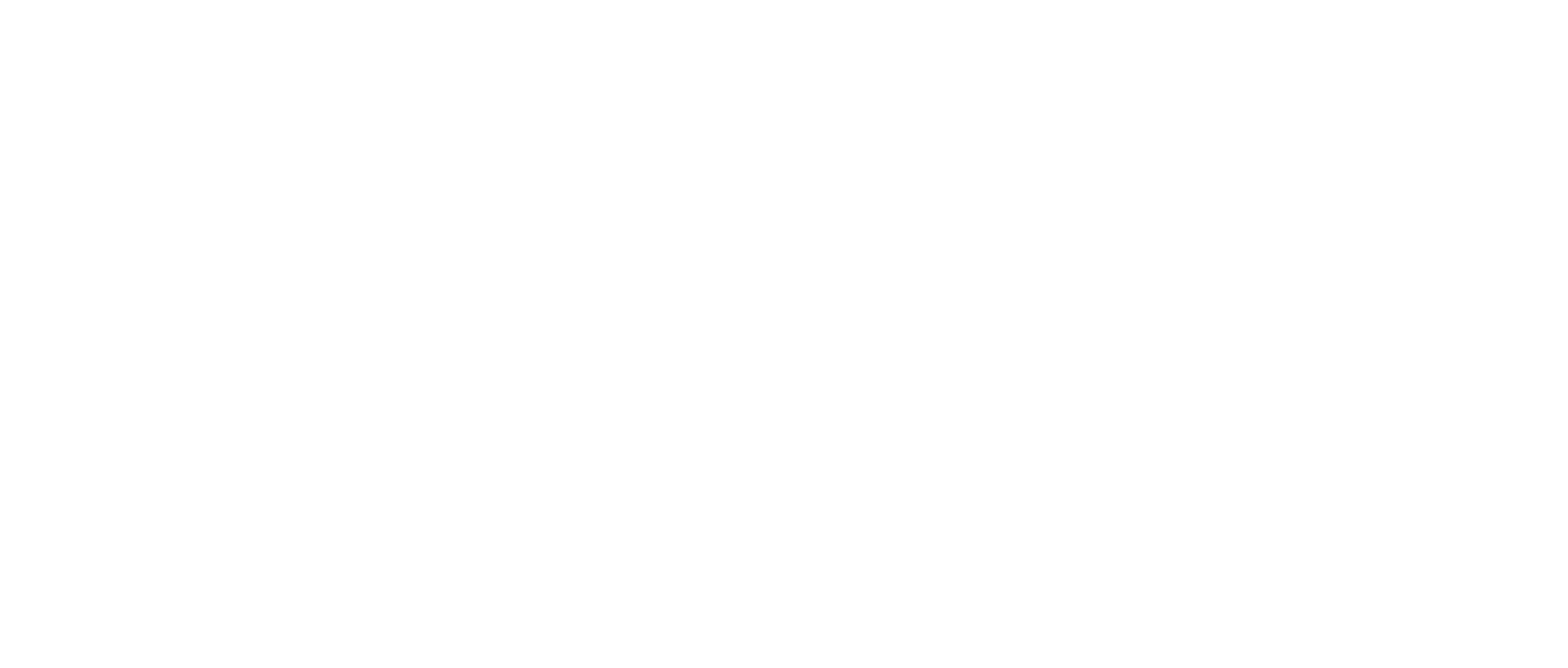 The Standard Model Training Sweden AB logotyp