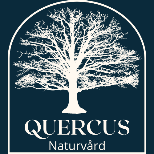 Quercus Naturvård AB logotyp
