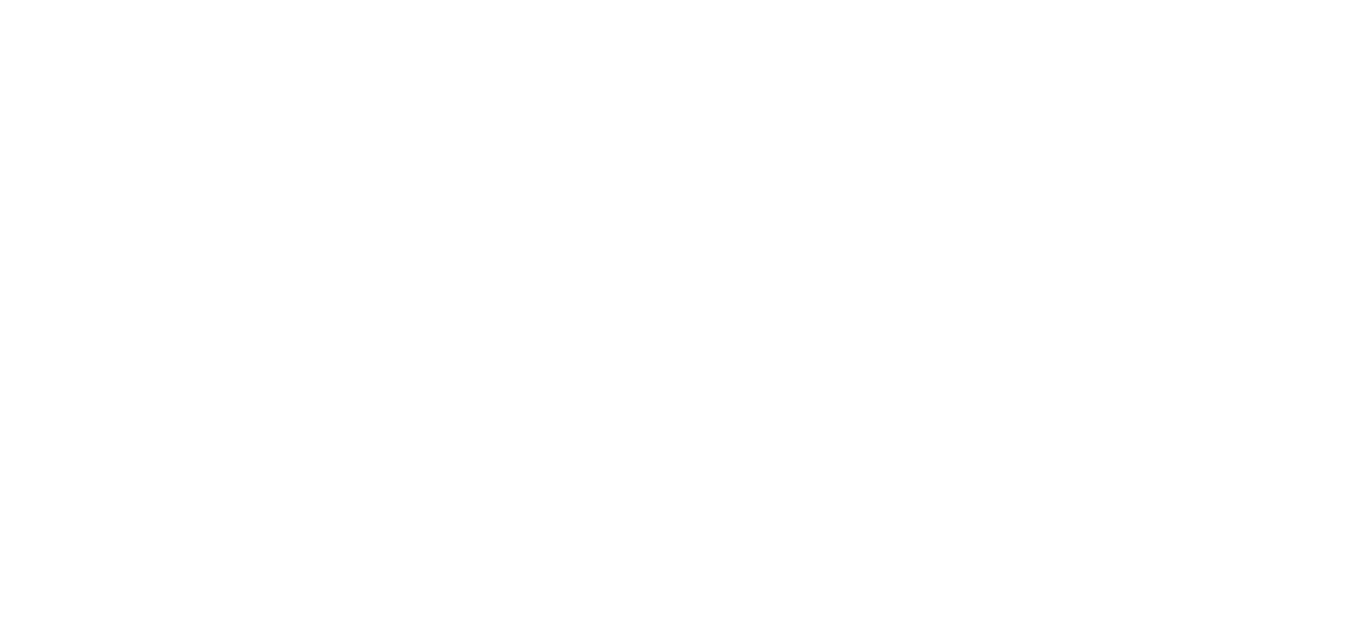 B.SALUS AB logotyp