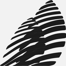 Bashy Consulting AB logotyp