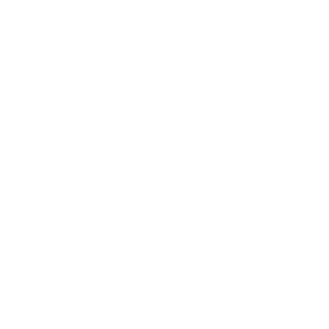 Stockholm Ink Gallery AB logotyp