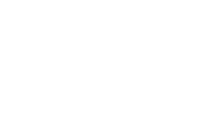NIB Programmering AB logotyp