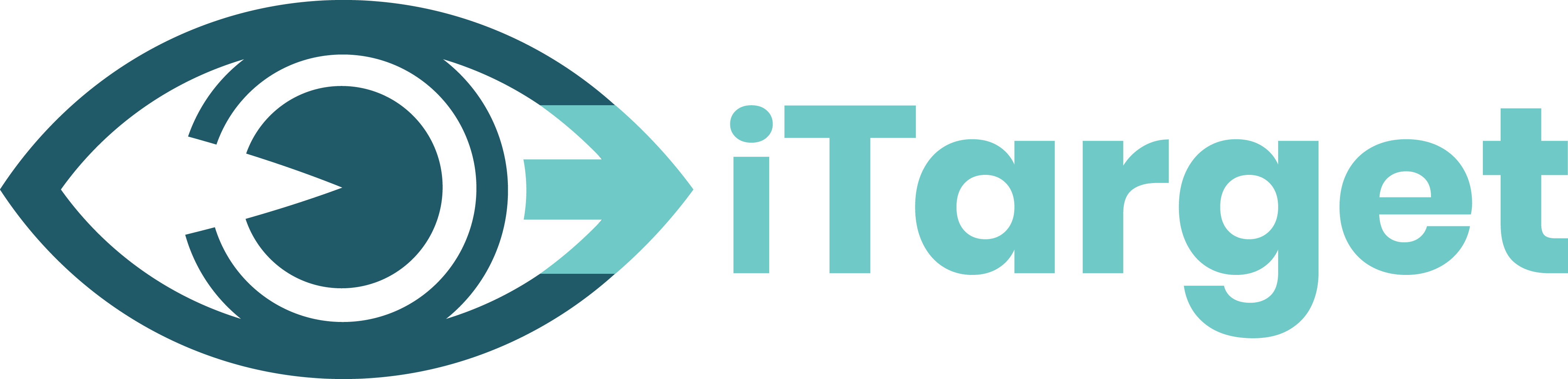 iTarget Sports AB logotyp