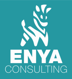 Enya Consulting AB logotyp
