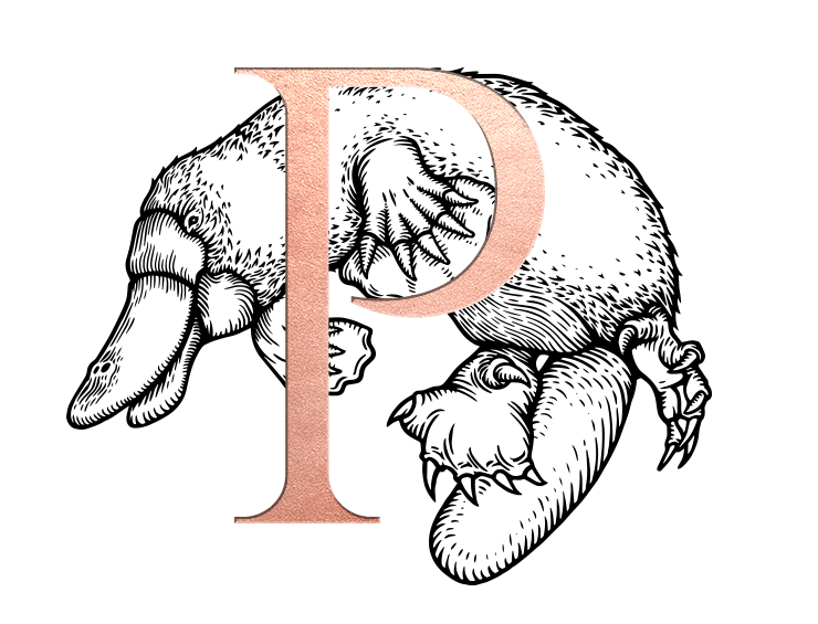 Platypus Partners AB logotyp