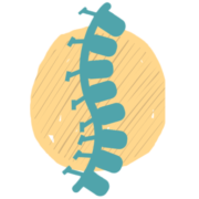 Sundsvalls Kiropraktik och Rehab AB logotyp