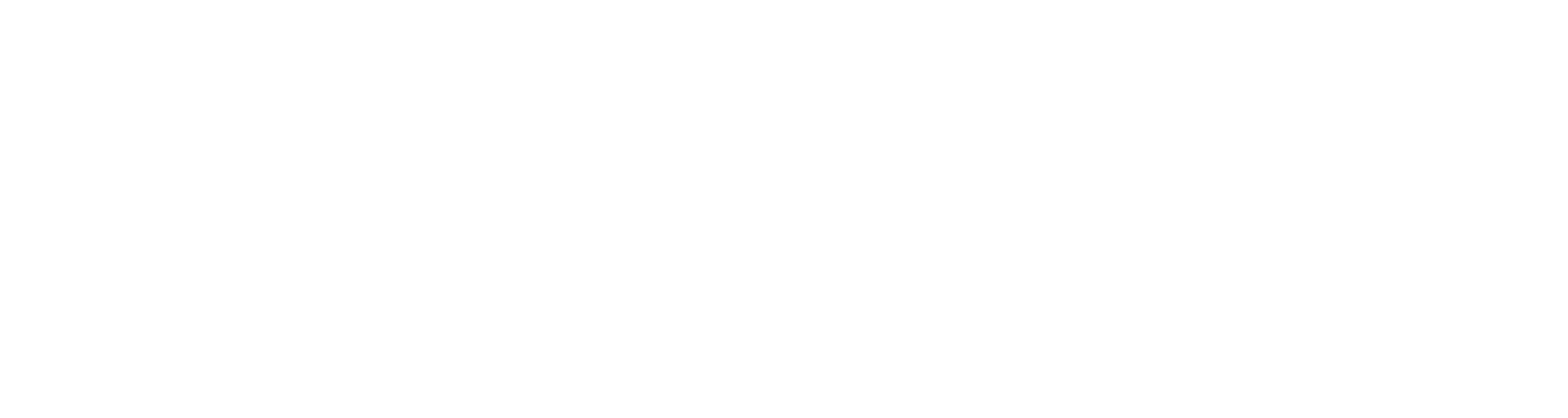 N1 Nordic AB logotyp