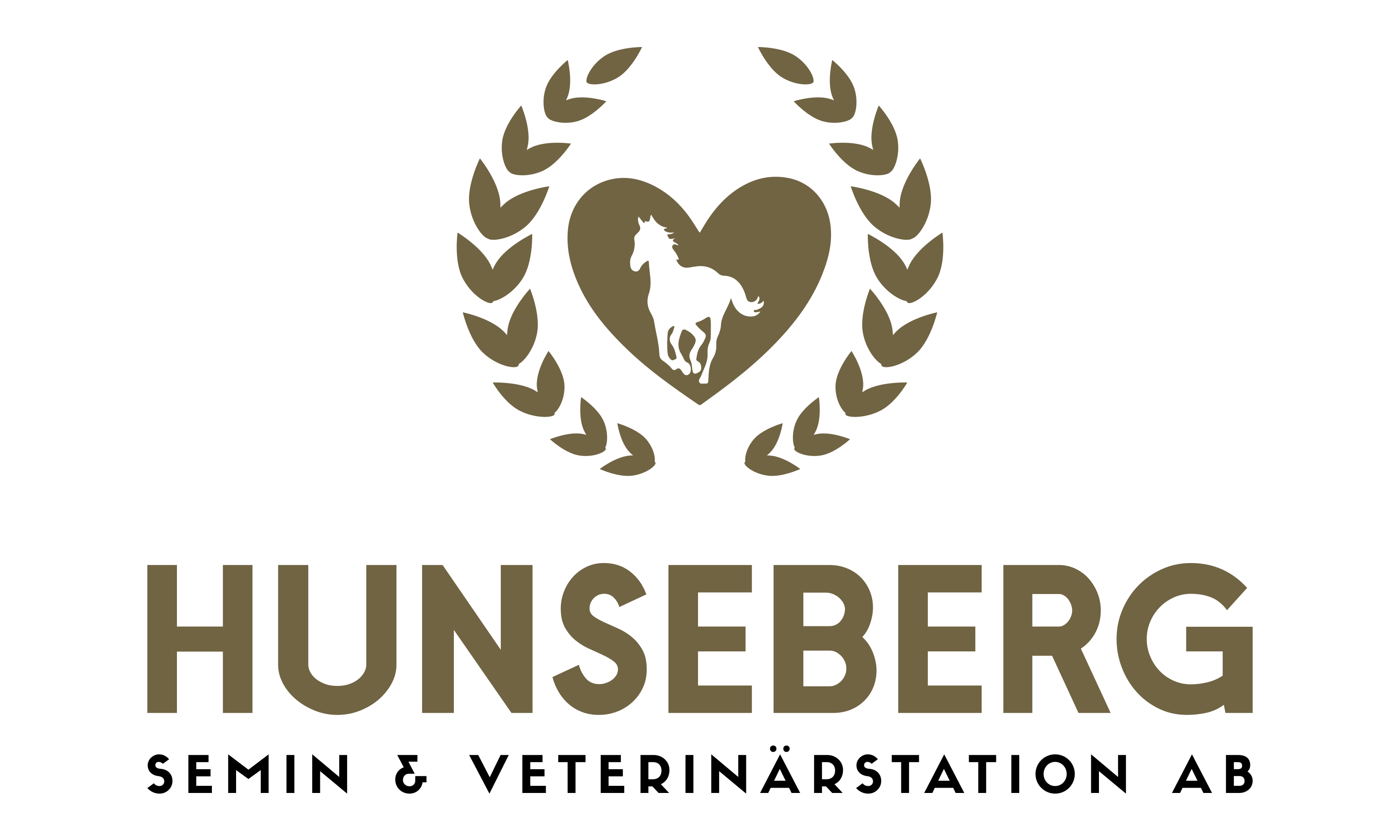 Hunseberg Semin & Veterinärstation AB logotyp