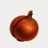 Unpeeled AB logotyp