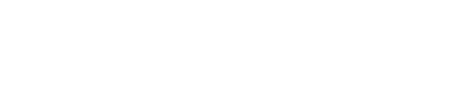 Pfeifer Vidgren Consulting AB logotyp