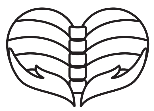 Naprapatsmedjan AB logotyp