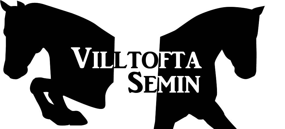 Villtofta Semin AB logotyp