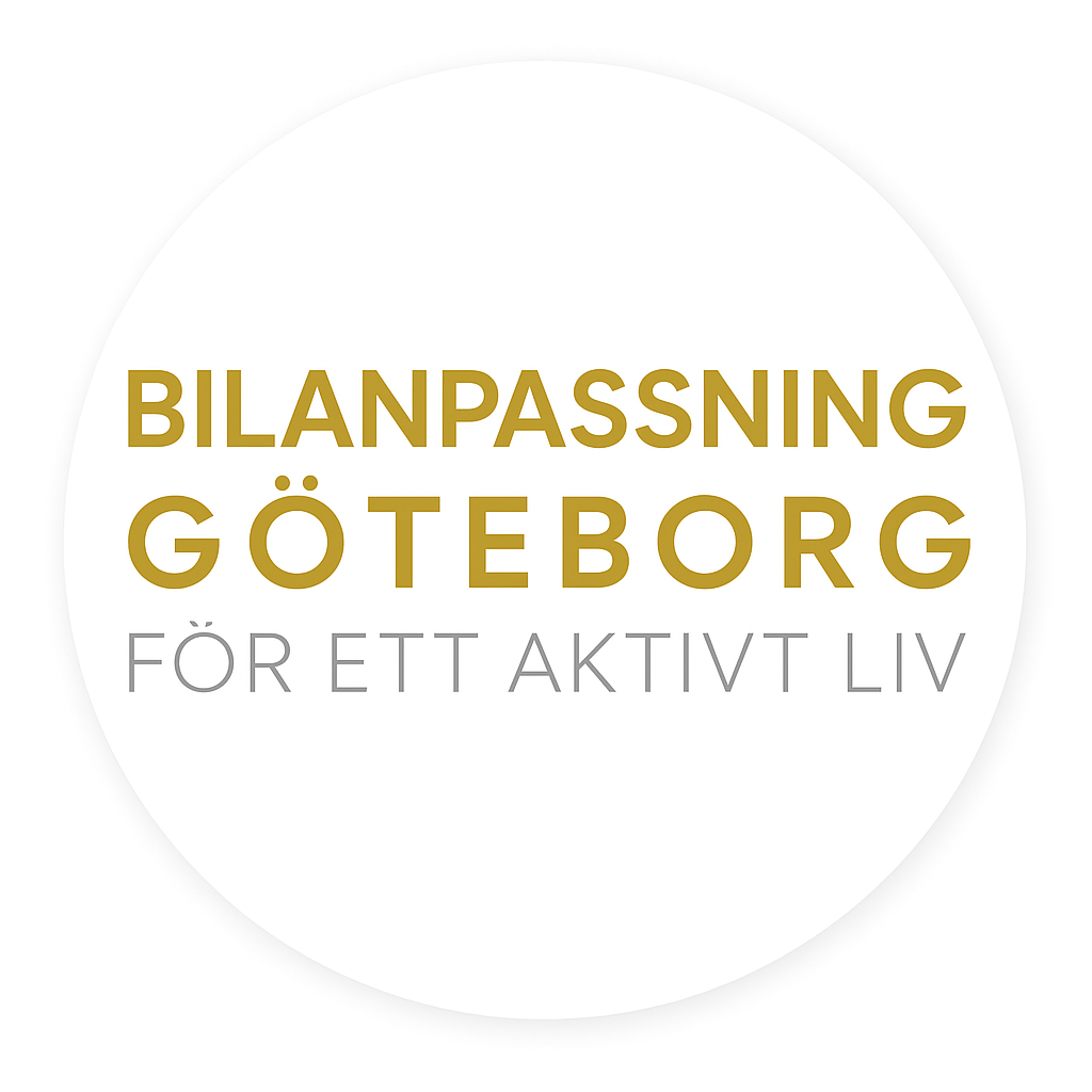 Bilanpassning I Göteborg AB logotyp