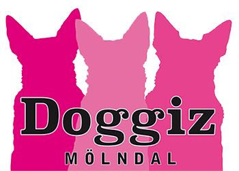Hundkonsult Annette Rydebrink AB logotyp