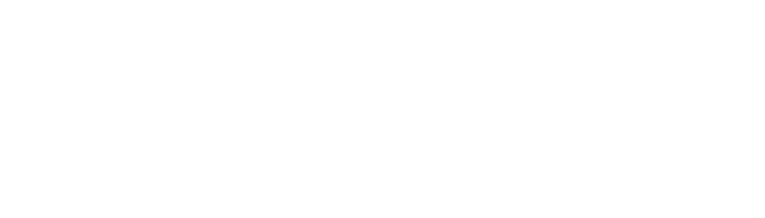 Executive Security Sweden AB logotyp