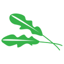 Ruccola SKHLM AB logotyp