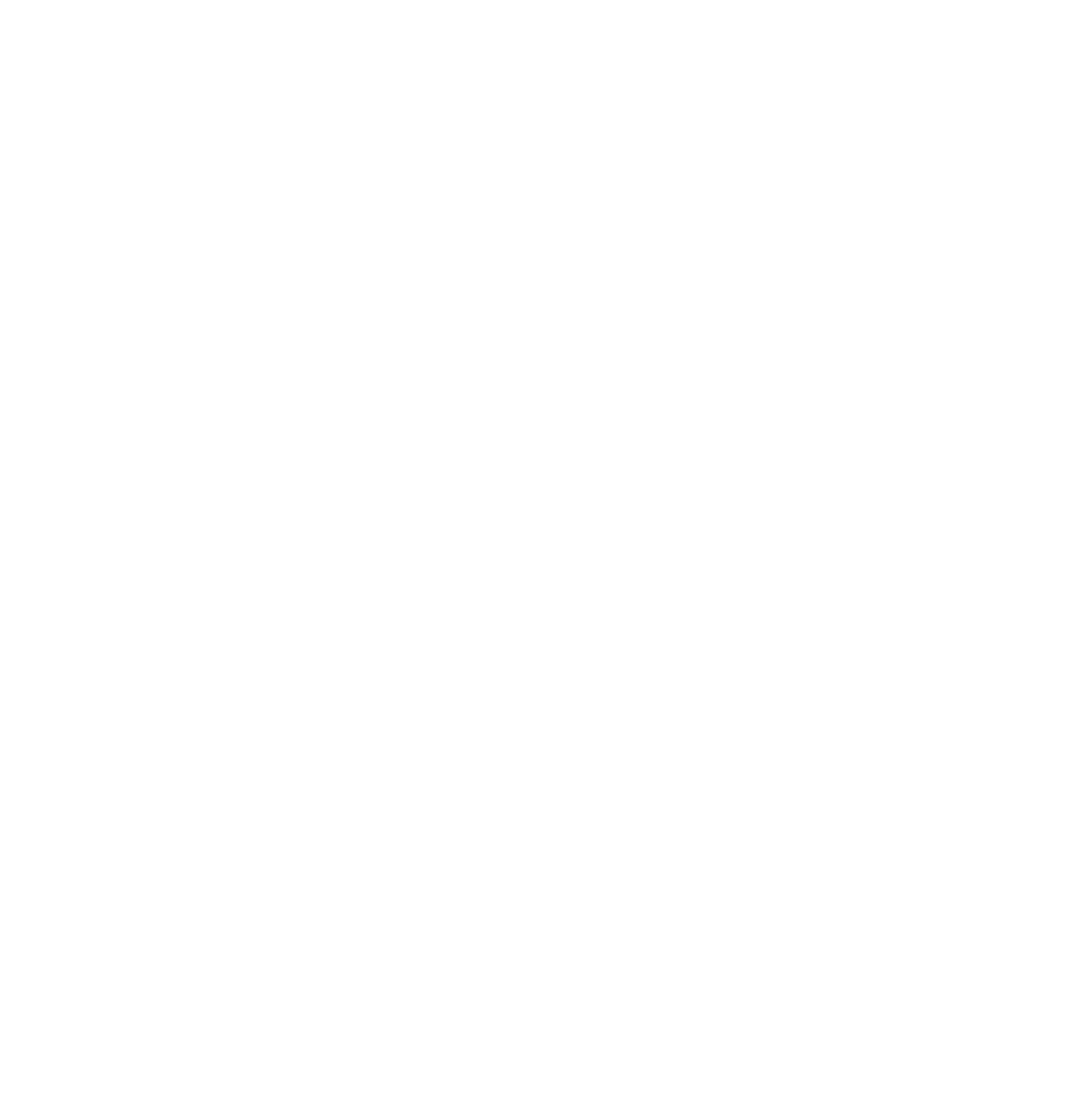 Studios Extraordinaires AB logotyp