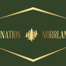 Destination Norrland AB logotyp