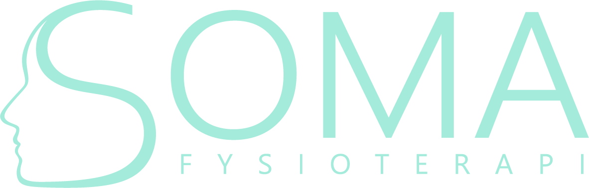 Soma fysioterapi AB logotyp