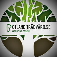 Gotland Trädvård AB logotyp