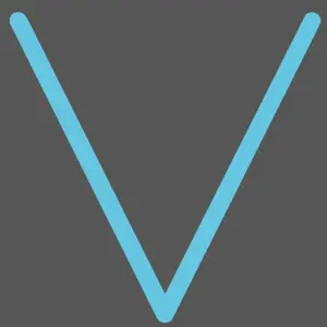 Vector Security Group AB logotyp