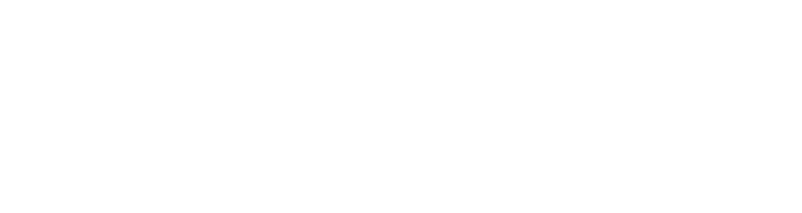 Bjurholm TSF AB logotyp