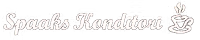 Spaaks data AB logotyp